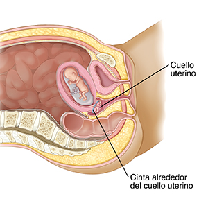 Side view of knee joint showing basic anatomy.